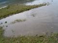 japanese fishing style 3(AMAMI Fishing Account of The Trip)