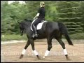 Medizinische Klassische Reitlehre Teil 1-4