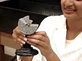 Humananatomy361 Epithelium models Test 1 Humananatomy361 Epithelium models Test 1