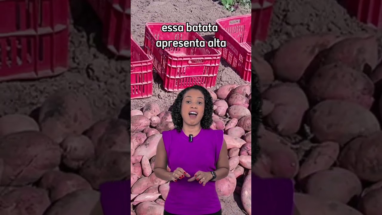 Essa não é uma batata-doce comum...