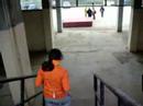 sausalito corrida