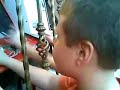 los-visios.html