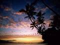 Wamdue Project feat.Jonathan Mendelsohn-forgiveness