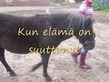 Rakastan sinua aina, kiitos kun olit totta hetken. Rakas hoitsu !Olin tyhmä kun luulin, että vasta kuolema meidät erottais.Kiitos kaikista kokemuksistas sun kanssa, kiitos kun olit totta edes tän hetken. En ikinä unohda sinua, toivottavasti nään sinut vielä kerran edes ! Mutta ainakin tuun näkee sinut, minun sydämmessäni. Olet minulle rakas, en unohda sinua ikinä !Rakastan sinua nyt ja aina !