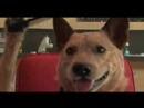 Good Paw Bad Paw 4 - Uncensored Sex Scene