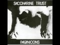 clip video Saccharine Trust I Have