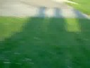 ginger playing basketball
