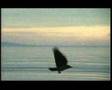 Super 8  film test  Ektachrome 64T Canon 814 az
