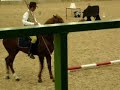 working equitation working equitation