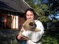 Dakota au Clos des Vignettes