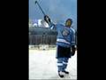 Two Stars of NHL