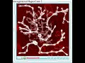 kadokaod synapses 78000points