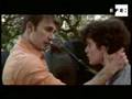  - Piczo Movies Video