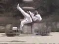Great Tae Kwan Do