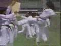 Great Tae Kwan Do