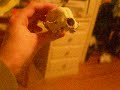 What is this animal? What is this animal?