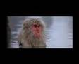 Baraka Trailer