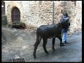 Compostelle 3