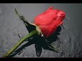 Sad Piano Hip Hop Beat