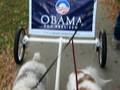 Click to View