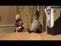 Thumbnail #3