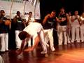 14 festival capoeira brasil mestre curumim