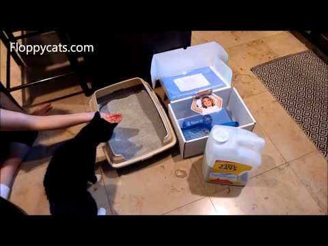Tidy Cats Lightweight Litter Review 0 Tidy Cats Lightweight Litter Review