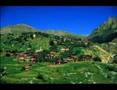 Hamseyi Tuta Varen  _makok
