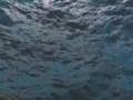 Aquadrops - BigWaves