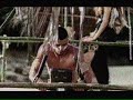 Cargo cult economics Littlewoods Direct