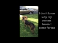 Click here to watch this video Mufasa