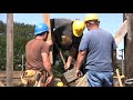 Pedrick House Raising Pedrick House Raising