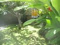 villa bahia on bali
