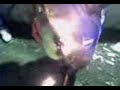 LBDLC - Tocó fuego el trapo de peñarol