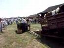 treadmill for horses