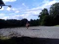 Jessie VS melker