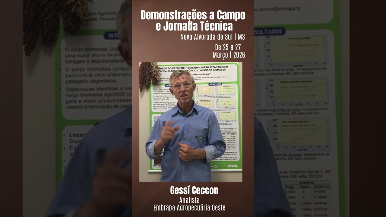 Embrapa na Expocanas 2026 -  sorgo granífero para produção de etanol - Gessí Ceccon