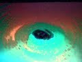 jitter-to-lemur-pt-1.html
