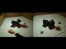TRI/AIBO Sleep-Sit-Stand Replay Split-Screen