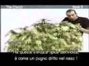 green house seed co the church grow with italian subtitles
