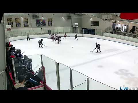 Net Front Battle Assist