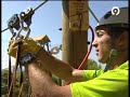 Terra Mítica abre Ocionía - Canal 9