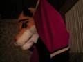 First time in first fursuit