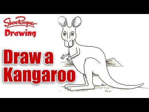 how to draw kangaroo