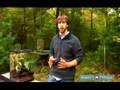 How to Build Terrariums & Vivariums: Creating Your Own Miniature Ecosystem : Adding Plants to Your Terrarium