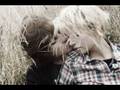 videos de Translation