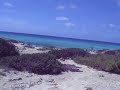 Arrivo al Piratabus - Km11 Formentera Arrivo al Piratabus - Km11 Formentera