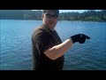 Click here to watch this video Crabbing In Florence Oregon with BevansLaw and El Speedo