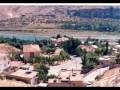 yalçın halfeti 1