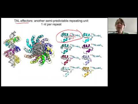 Phoebe Rice Lecture on Nucleic Acids